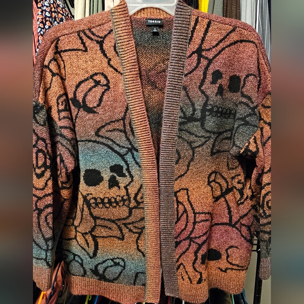 Torrid Multicolor Knit Sweater